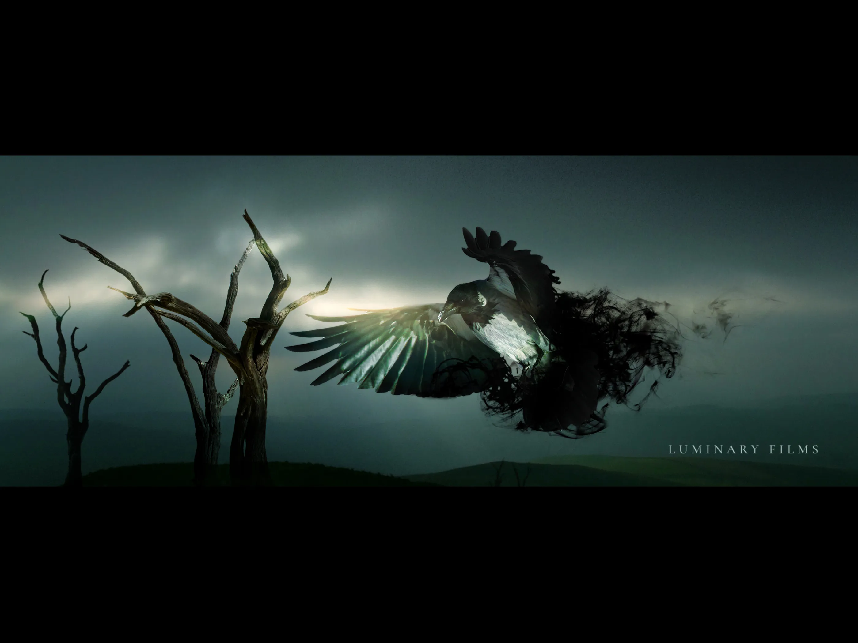 LuminaryFilms Image 02