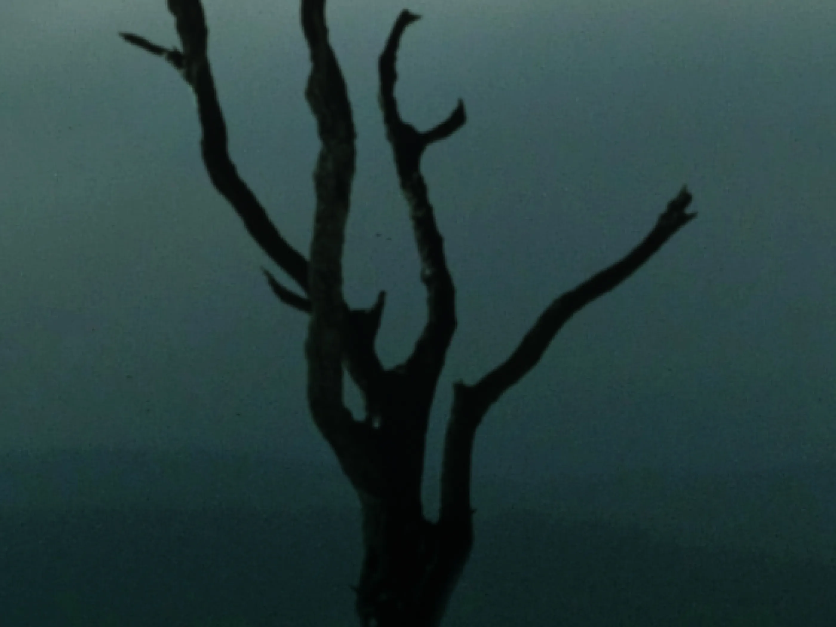 LuminaryFilms Image 06