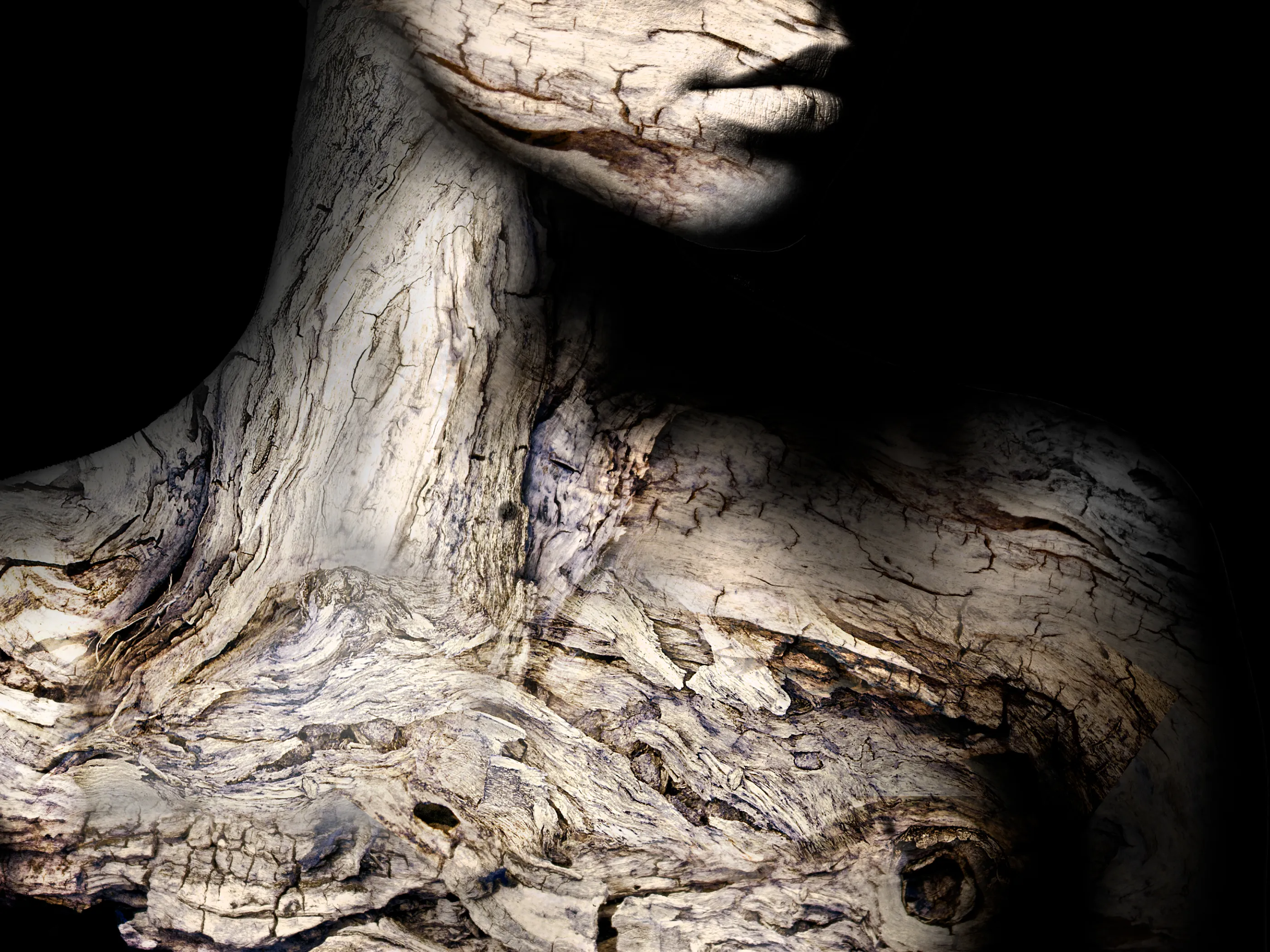 Pinocchio Image 03