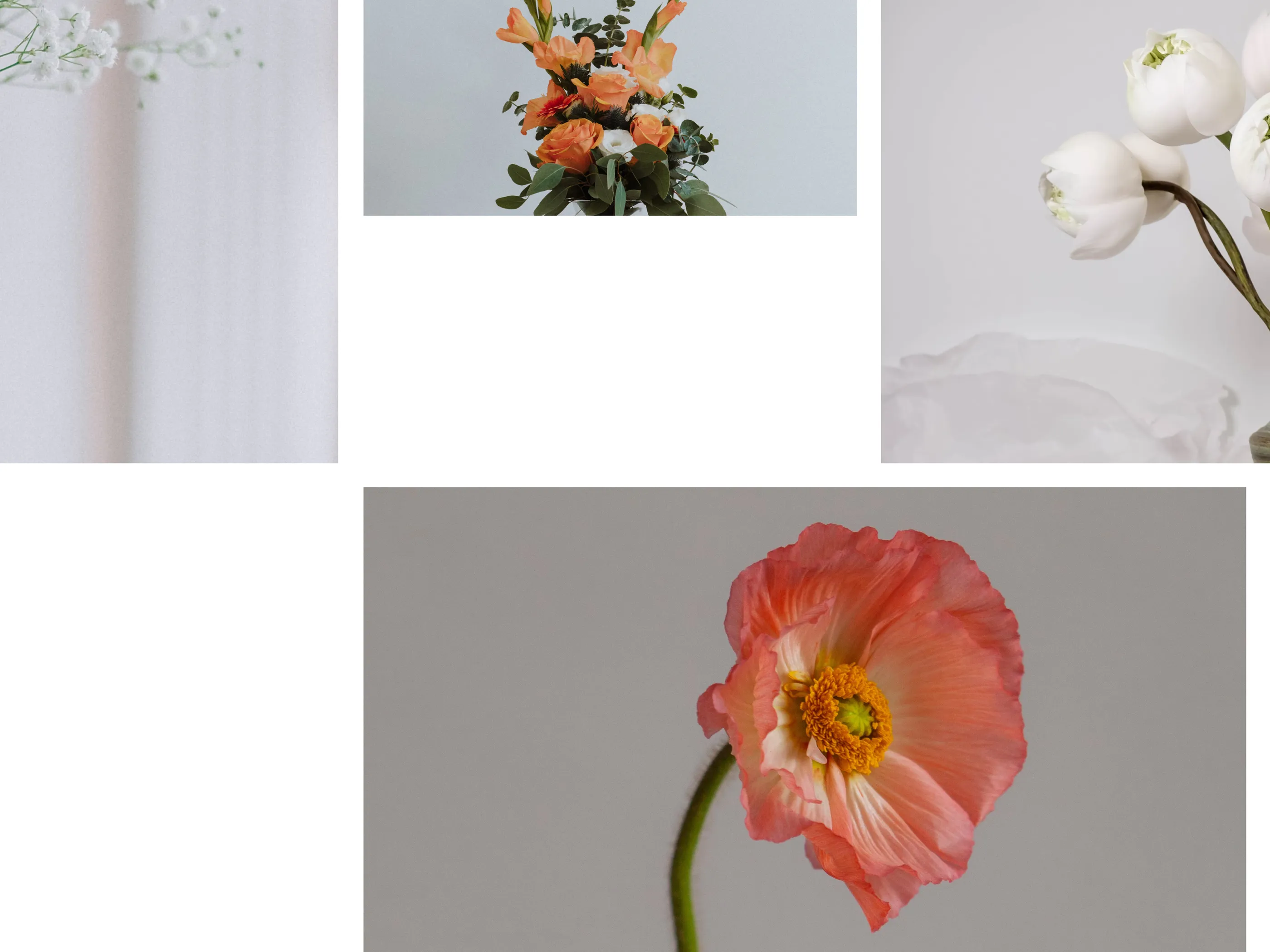 ThePetalCompany Image 08