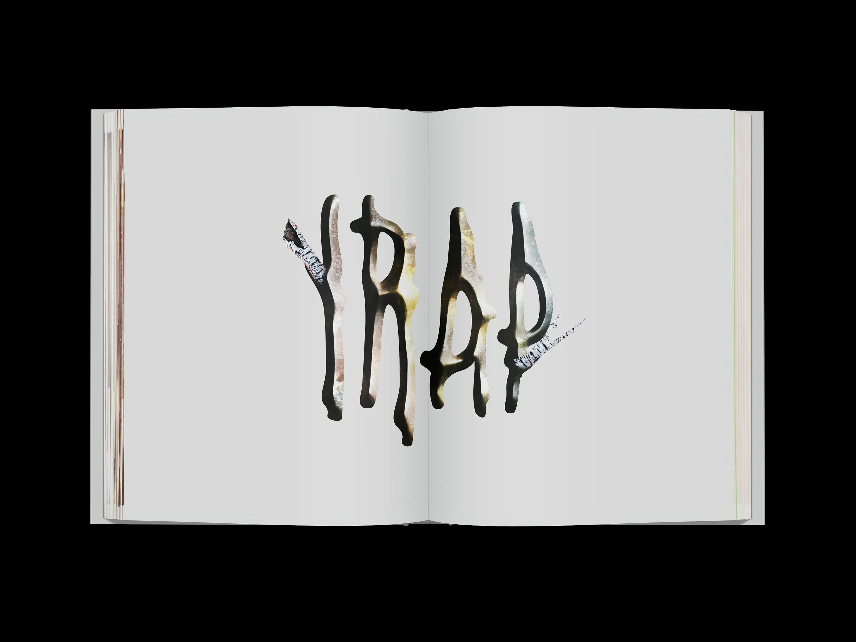 Trap Image 03