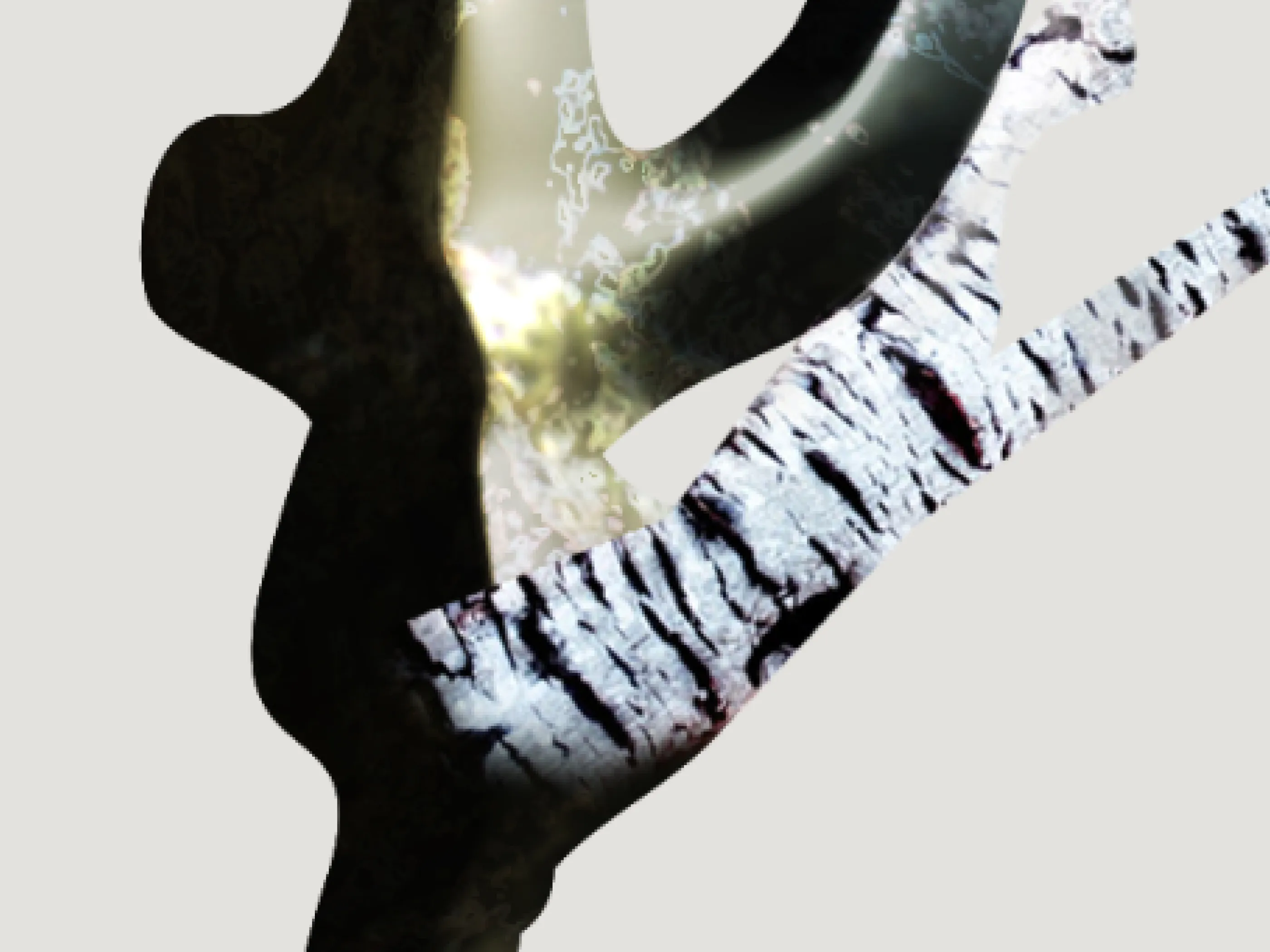 Trap Image 07